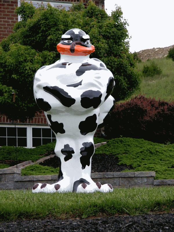 Photo of the HokieBird painted as a Holstein cow.